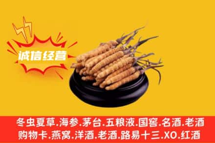 榆林清涧县回收冬虫夏草